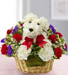 Love Pups Flower Power, Florist Davenport FL